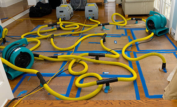 Professional Crawl Space Water Removal technician working in Deep Run, NC